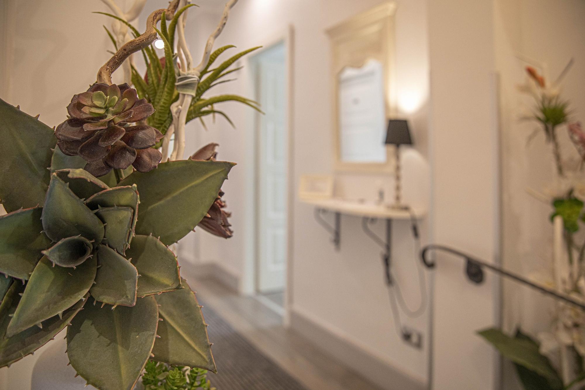 Bed and breakfast Domus Castrense Roma